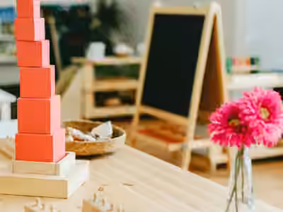 École Montessori bilingue (2-12 ans) - We Love Mômes Versailles