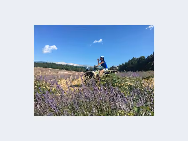 SylKa Formation (Anglais, Bilan De Compétences, Hypnose, Coaching)