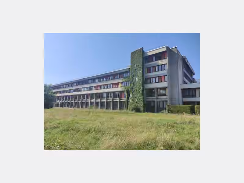 Centre universitaire d'études françaises