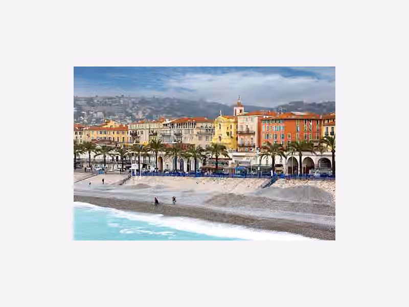 LEARN IN NICE